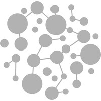 NETWORK CONSULT Logo