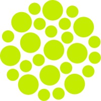 Chameleon Technology (UK) Ltd Logo