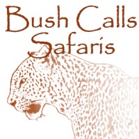 Bush Calls Safaris Logo