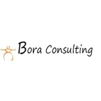 Bora Consulting Co. Ltd Logo
