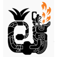 Accion Latina Logo
