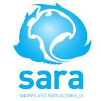 Sharks And Rays Australia Logo