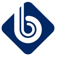 BluBiz Solutions Logo
