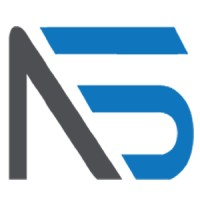 Netzach Systems Logo