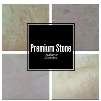 Premium Stone Logo