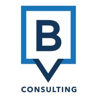 BV Consulting Logo