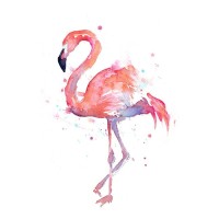 amaBele Project Flamingo NPC Logo