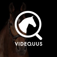 Videquus AB Logo