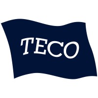 TECO Electronics Logo