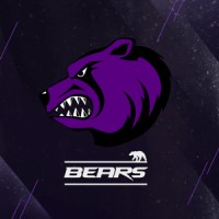Cairo Bears Logo