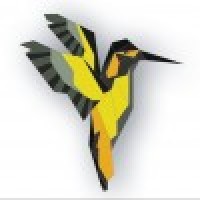 DigitalBird Fotografie Logo