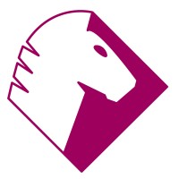 Schaakopening Essenties Logo