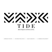 T.I.D.E & Partners Logo