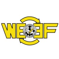 Waterloo Engineering Endowment Foundation Logo