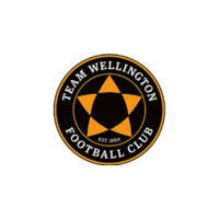 Team Wellington FC Logo