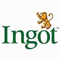Ingot Services Logo