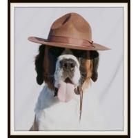 K9 Companions Inc. Logo
