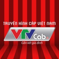 VTVCab Logo