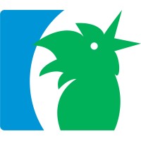 De Haan Media Logo