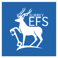 Surrey Economics & Finance Society Logo