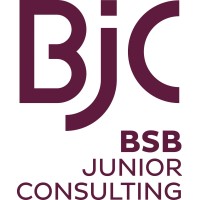 BSB Junior Consulting Logo