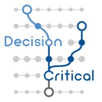 Decision Critical Logo