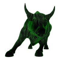 BitBull Capital Logo