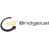 Bridgetal Logo