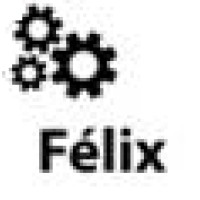 Grupo Felix Logo