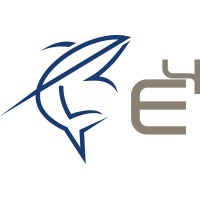 E4 Surgical Logo