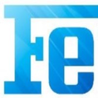 FenixEdge Consulting Logo