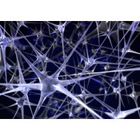 BLC Global Group Ltd Logo