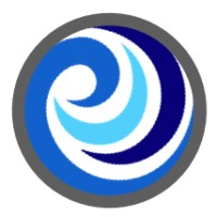 STORM Real World Health, Inc. Logo