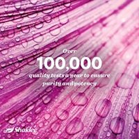 Body and Home Healthy Logo