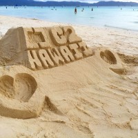 C2 Hawaii Logo