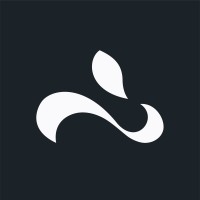 Whiterabbit.ai Logo