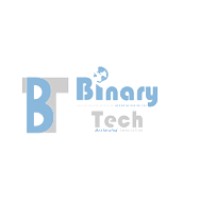 Binary Tech Consulting Corp Logo