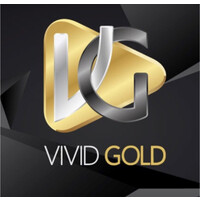 Vivid Gold Logo