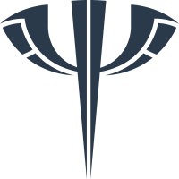Psykinetic Logo