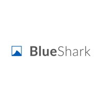 Blue Shark S.r.l. Logo