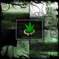 Weed Connection Logo