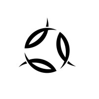 Wanda Corporate Finance Logo
