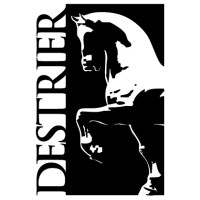 Destrier, Inc. Logo