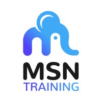 MSN Training Logo