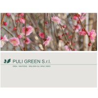 Puli Green S.r.l. Logo