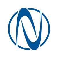NETSER Group Logo