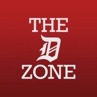 The D Zone LLC Logo