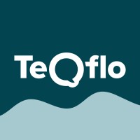 TeQflo | Tech & Business Consulting Logo