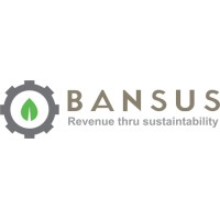 Bansus International Recovery Logo