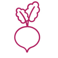 Radish Technologies Logo